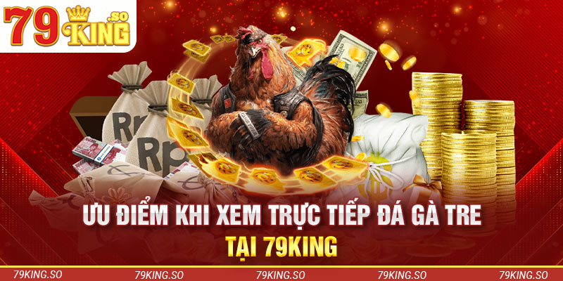 Những ưu điểm đặc biệt nổi trội của giống gà tre